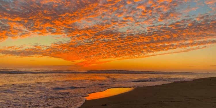 Cortesía FB Playa Bonita