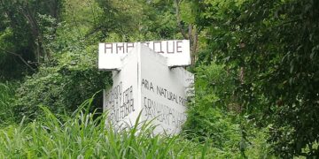 archivo ENTÉRESE