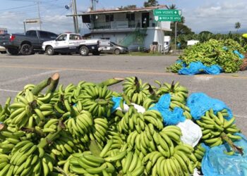 Imagen del martes 14