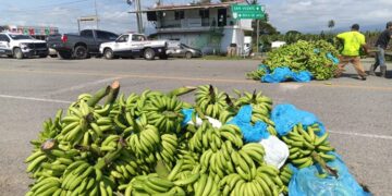 Imagen del martes 14