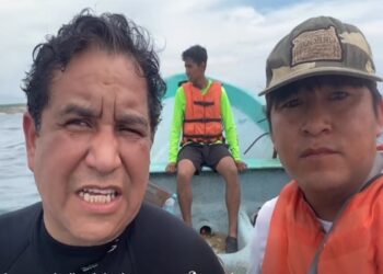 Imagen de cortesía de pollito